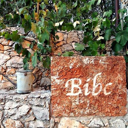 Bibc Wine & Holiday Триест Екстериор снимка
